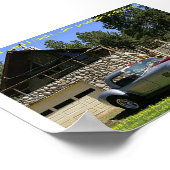 SchlangeNGrass Poster (Ecke)