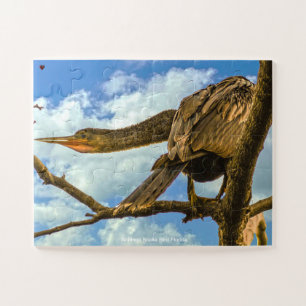Schlangenhalsvogel Florida Puzzle