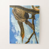 Schlangenhalsvogel Florida Puzzle (Vertikal)