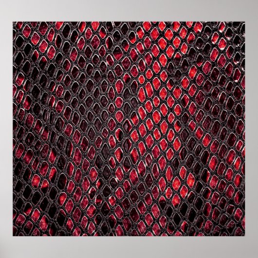 Schlangenhaut: abstrakter Hintergrund. Poster (Vorne)