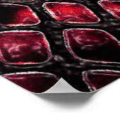 Schlangenhaut: abstrakter Hintergrund. Poster (Ecke)