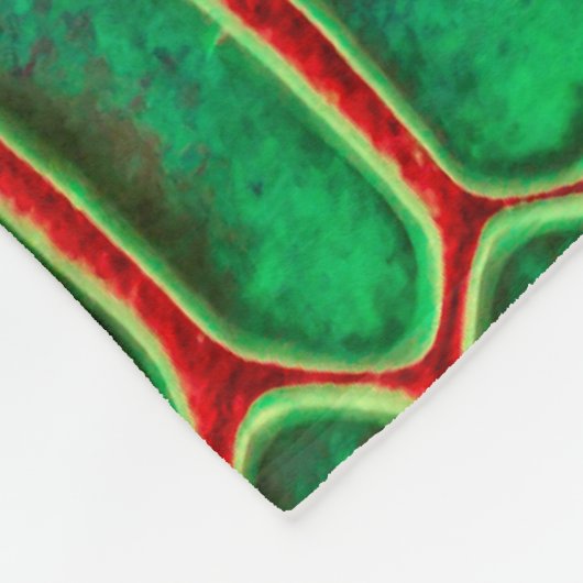 Schlangenhaut Fleecedecke (Ecke)