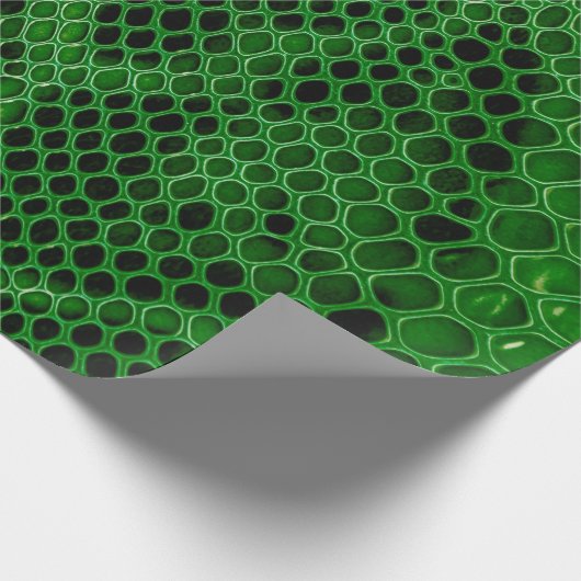 Schlangenhaut Geschenkpapier (Ecke)
