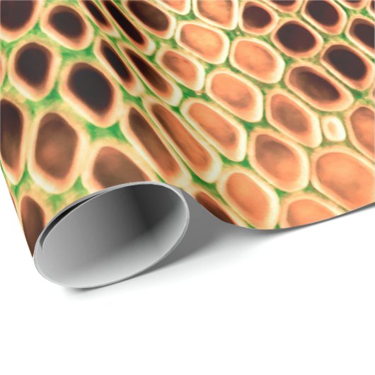 Schlangenhaut Geschenkpapier (Rolleneckpunkt)