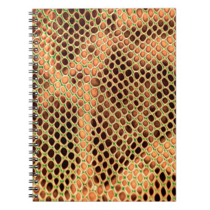 Schlangenhaut Notizblock