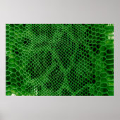 Schlangenhaut Poster (Vorne)