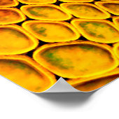 Schlangenhaut Poster (Ecke)