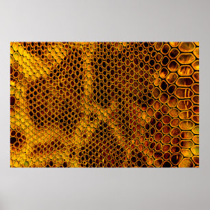 Schlangenhaut Poster