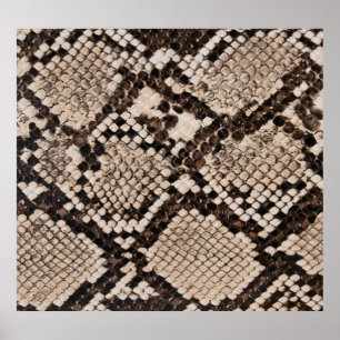 Schlangenhaut: texturierter Hintergrund. Poster