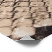 Schlangenhaut: texturierter Hintergrund. Poster (Ecke)