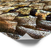 Schlangenhautmuster. Vintager Tierdruck Poster (Ecke)