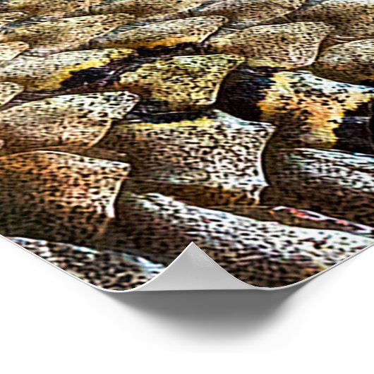 Schlangenhautmuster. Vintager Tierdruck Poster (Ecke)