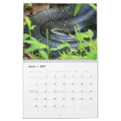 Schlangenkalender 2026 kalender (Mär 2027)