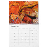 Schlangenkalender 2026 kalender (Jan 2027)