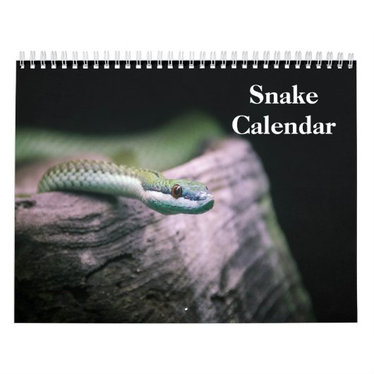 Schlangenkalender 2026 kalender (Titelbild)