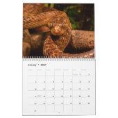 Schlangenkalender 2026 kalender (Jan 2027)