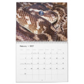 Schlangenkalender 2026 kalender (Feb 2027)
