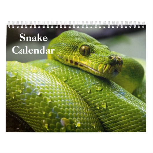 Schlangenkalender 2027 kalender (Titelbild)