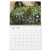 Schlangenkalender 2027 kalender (Mär 2027)