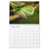 Schlangenkalender 2027 kalender (Jan 2027)