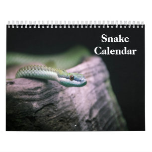 Schlangenkalender 2027 kalender