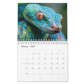 Schlangenkalender 2027 kalender (Feb 2027)