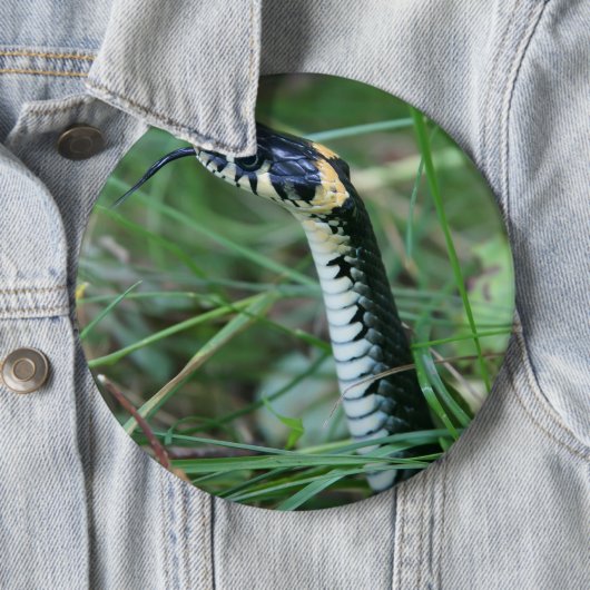 Schlangenkopf Button (Beispiel)