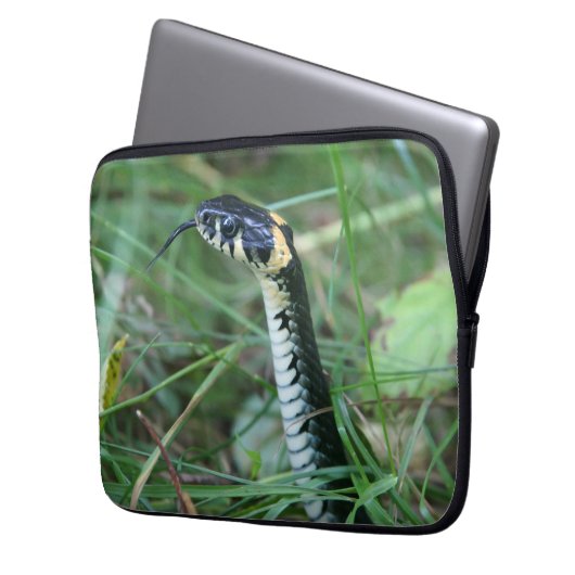 Schlangenkopf Laptopschutzhülle (Vorderseite Links)