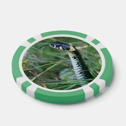 Schlangenkopf Pokerchips (Einzeln)