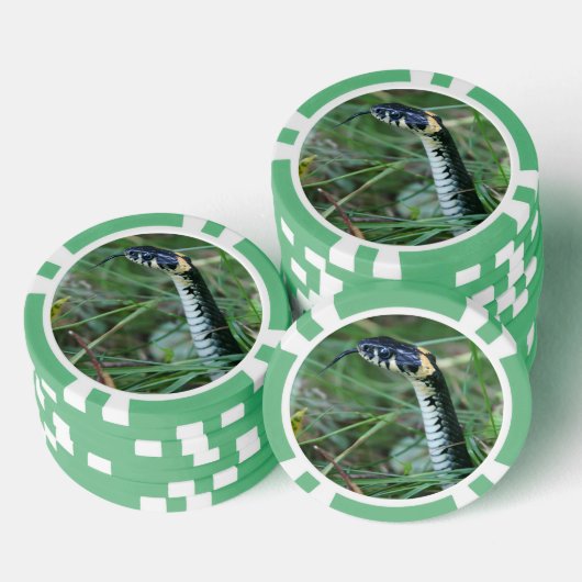 Schlangenkopf Pokerchips (Stapel)