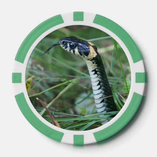 Schlangenkopf Pokerchips (Vorderseite)