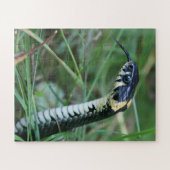 Schlangenkopf Puzzle (Horizontal)