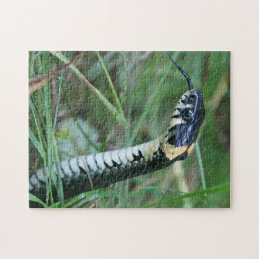 Schlangenkopf Puzzle (Horizontal)