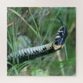 Schlangenkopf Puzzle (Horizontal)