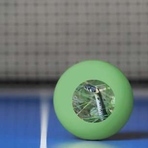 Schlangenkopf Tischtennisball