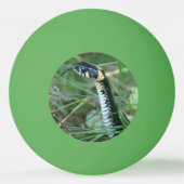 Schlangenkopf Tischtennisball (Rückseite)