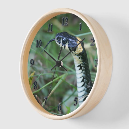 Schlangenkopf Uhr (Winkel)