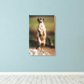 Schlangenmeerkat Leinwanddruck (Insitu (Holzboden))