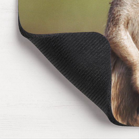 Schlangenmeerkat Mousepad (Ecke)