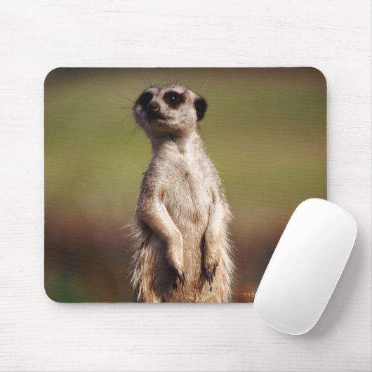 Schlangenmeerkat Mousepad (Mit Mouse)