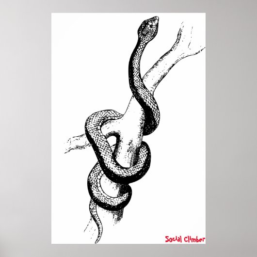Schlangenposter Poster (Vorne)