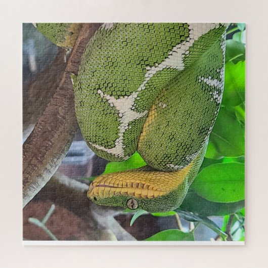 Schlangenpuzzle Puzzle (Horizontal)