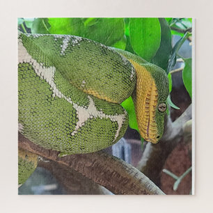 Schlangenpuzzle Puzzle