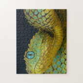 Schlangenpuzzle - Schöne grüne Puzzle (Vertikal)