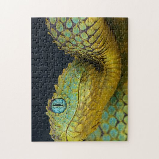 Schlangenpuzzle - Schöne grüne Puzzle (Vertikal)