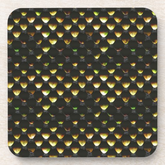 Schlangenskala 1B Untersetzer (Vorderseite)