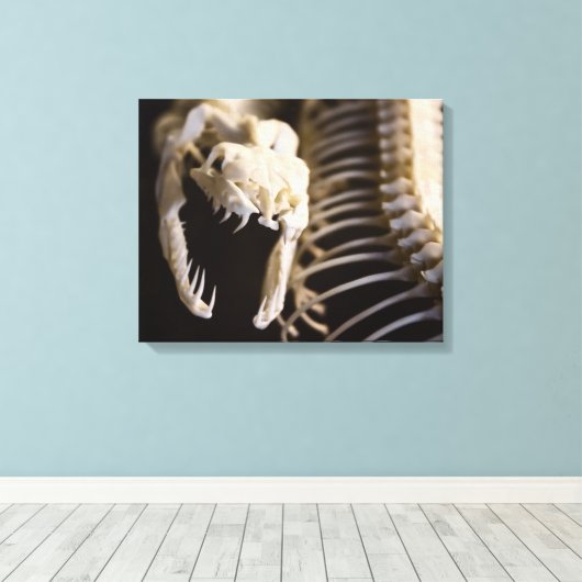 Schlangenskelettkunst - Leinwand (Insitu (Holzboden))