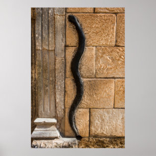 Schlangenskulptur bei Amna Suraka Poster
