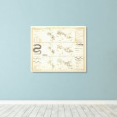 Schlangenverteilungen Leinwanddruck (Insitu (Holzboden))