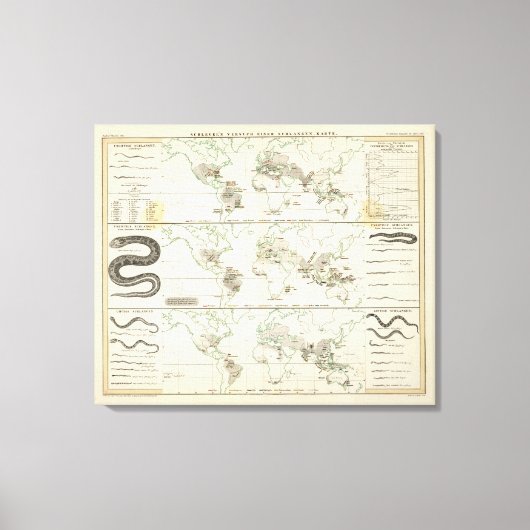 Schlangenverteilungen Leinwanddruck (Vorderseite)